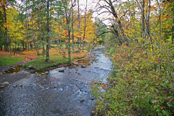 Geyser Creek in Saratoga Spa State Park